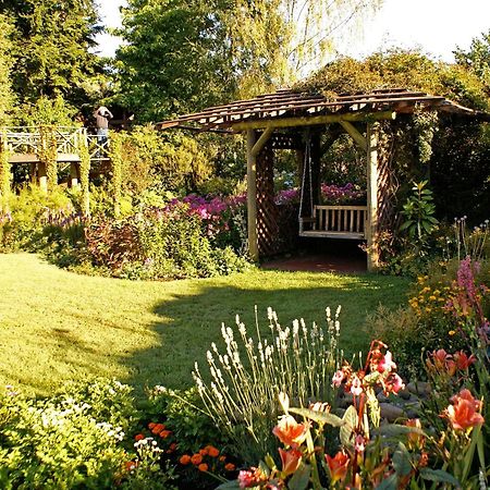 Hosteria De La Colina Villarrica Extérieur photo